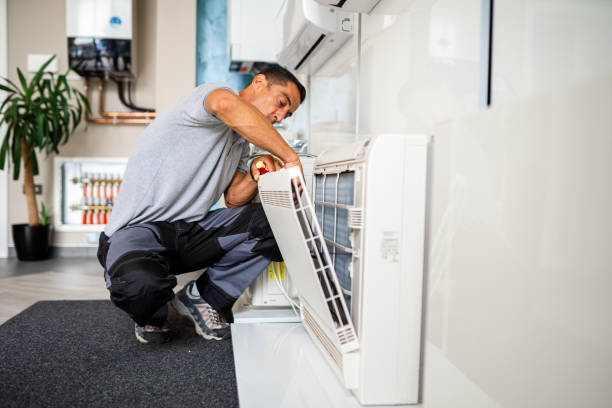 Best Air Duct Cleaning Near Me  in Blue Grass, IA