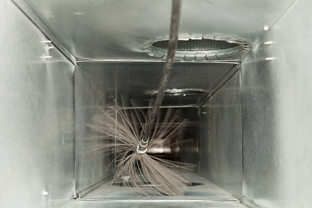 Best Affordable Duct Cleaning Services  in Blue Grass, IA