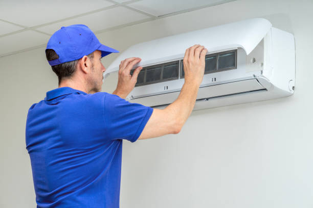 Best Residential Air Duct Cleaning  in Blue Grass, IA