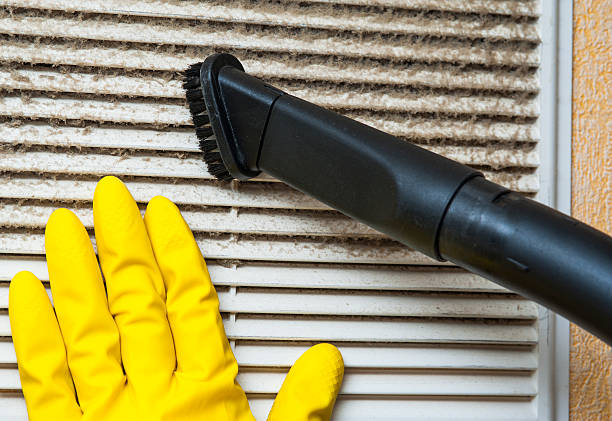 Best HVAC Duct Inspection Services  in Blue Grass, IA
